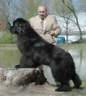 Higlander na v�stav� v �B