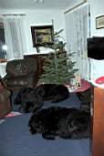 IMG_5144u.jpg